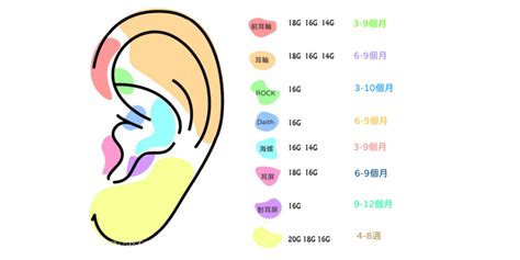 疼痛指數耳洞位置|打耳洞沒煩惱！全方位解析穿洞前的五大考量，一起解。